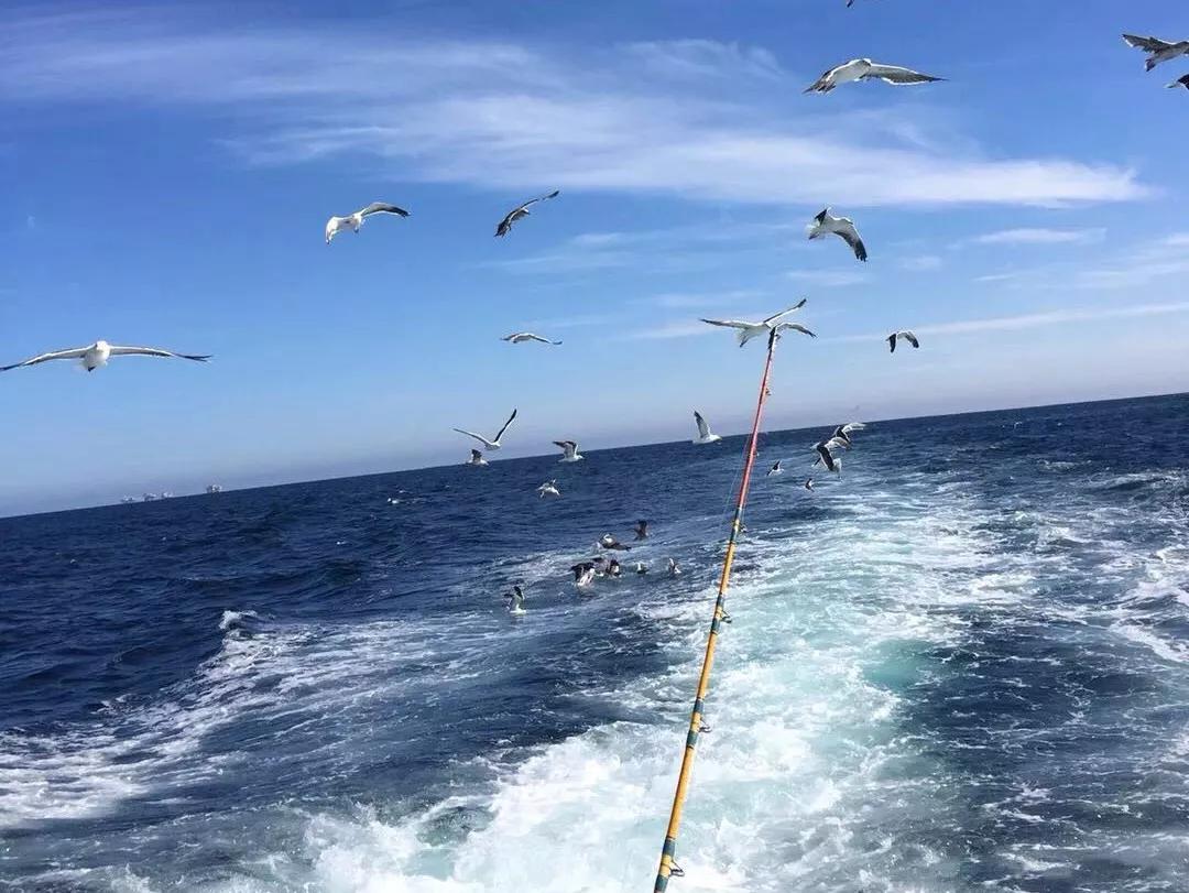 欧宝官方入口 -风云突变摩纳哥集结日回应争议，德国杯版图或变，质疑声仍在，纪律约束更严格的简单介绍
